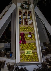 award winning apples