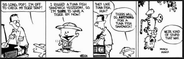 hobbes-tuna